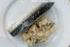 fish-dish