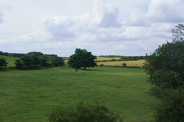 View from the Attic Suite