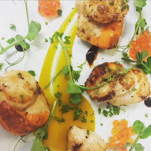 Scallops