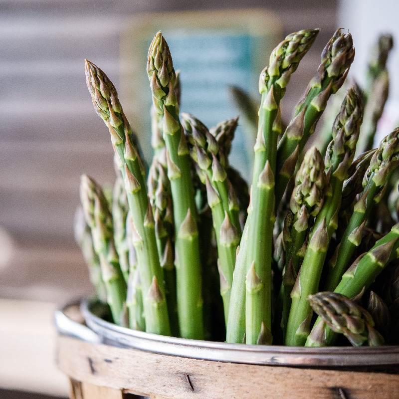 Fresh asparagus