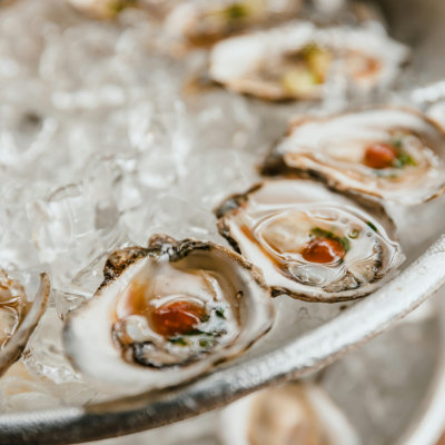 Oysters